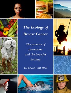 The ecology of breast cancer picture