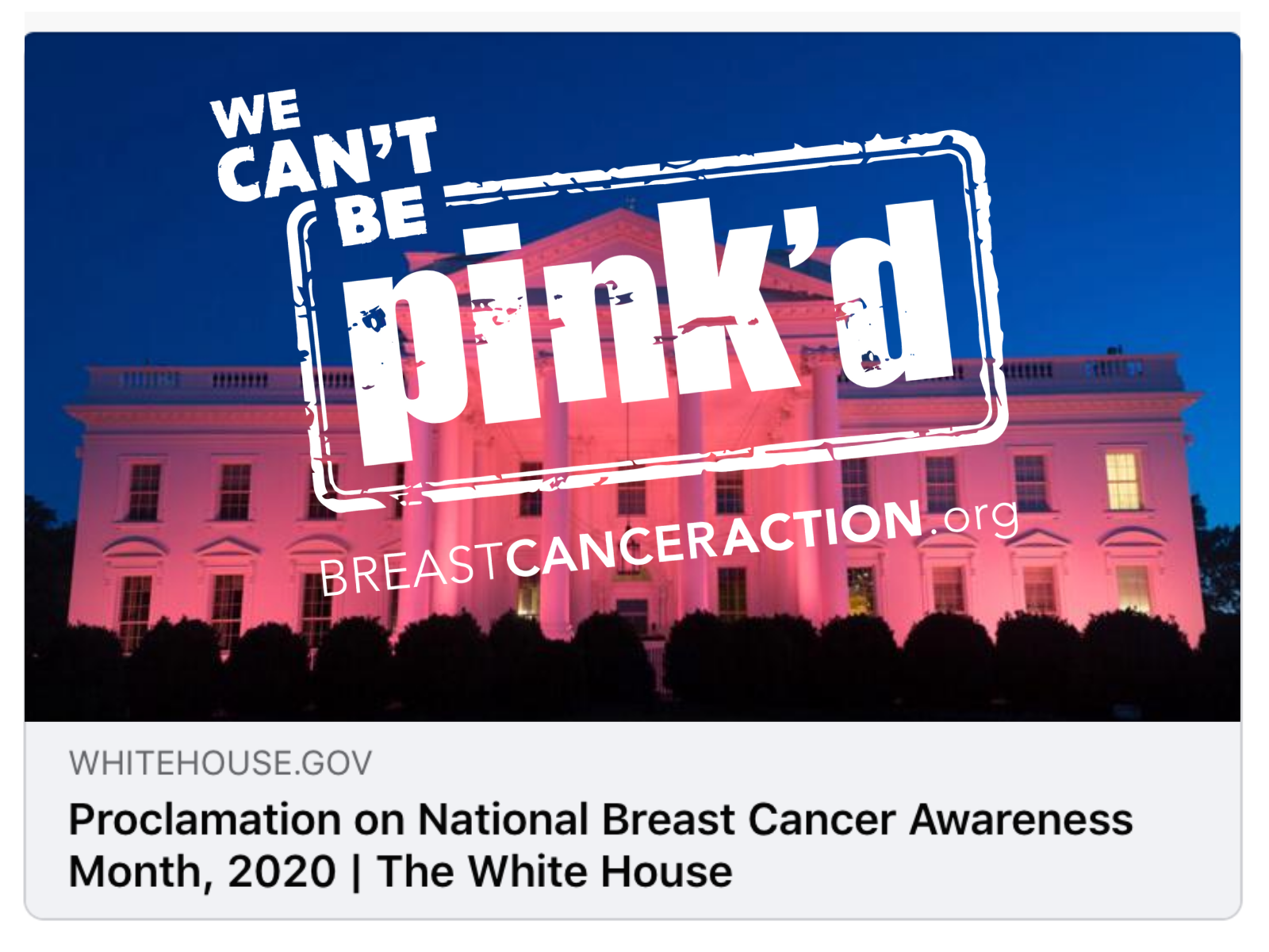 The Presidental Proclamation Image with the Think Before You Pink stamp stamped over it